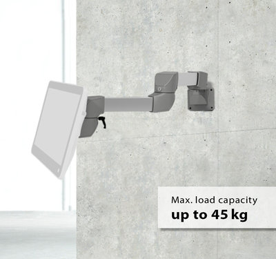 A product image of the BERNSTEIN suspension system CS-B.light with weight specification in english