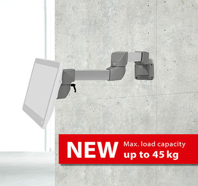 A product image of the BERNSTEIN suspension system CS-B.light with weight specification in english