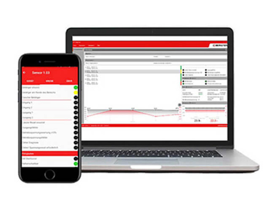 SMART Safety System: Screenshot des intelligenten Diagnosesystems als App oder PC-Software