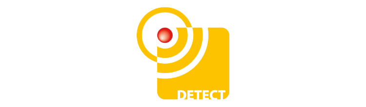 BERNSTEIN Logo für den Geschäftsbereich DETECT