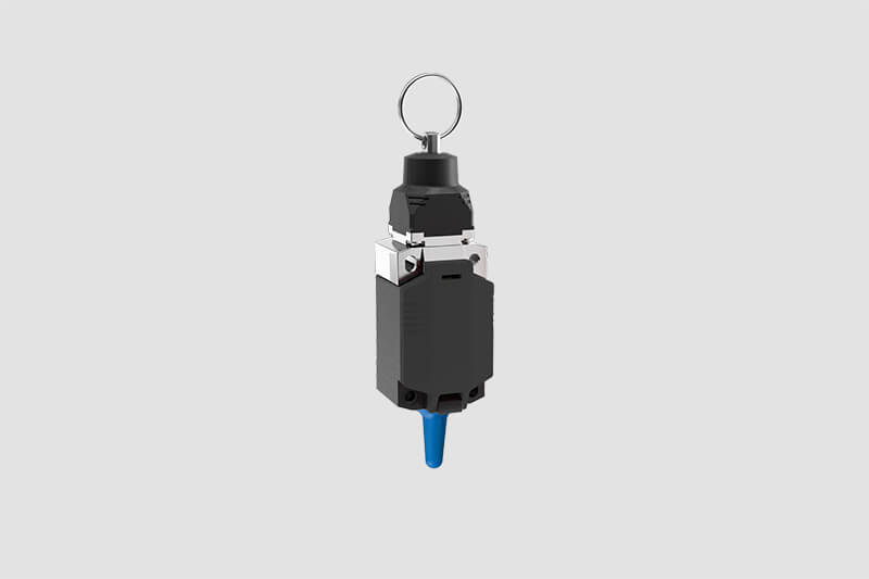 BERNSTEIN wireless rope pull switch on grey background